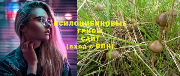 метадон Алексеевка