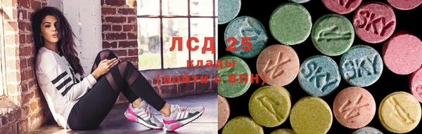 кокс Алзамай