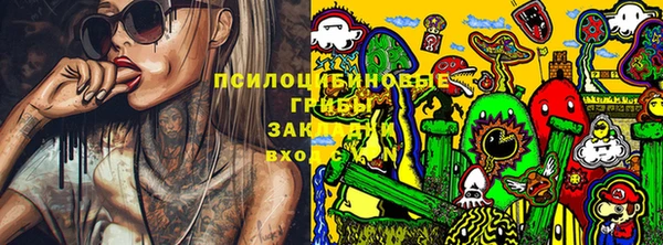 амф Алексин