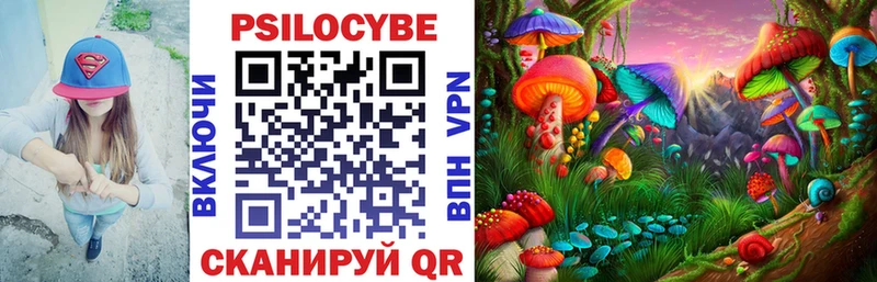 хочу   Елабуга  Галлюциногенные грибы MAGIC MUSHROOMS 