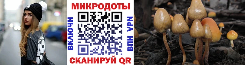 Галлюциногенные грибы мицелий Елабуга
