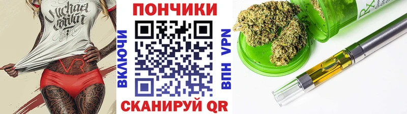 наркота  mega как войти  Бошки марихуана конопля  Елабуга 
